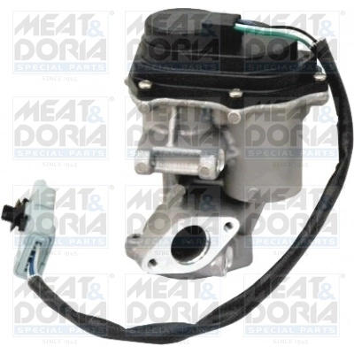 EGR Valve